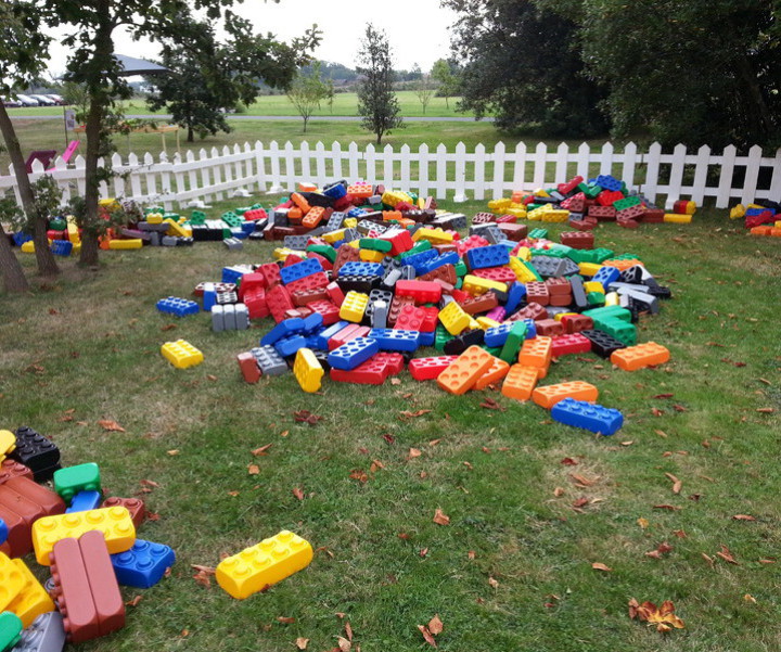 lego geant