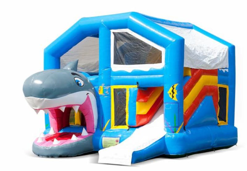chateau requin