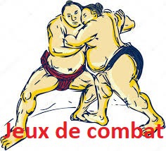 jeu de combat de sumos